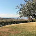 Melograno D'oro