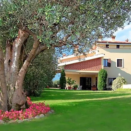 Melograno D'oro