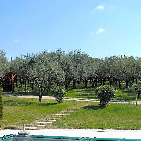 Melograno D'oro